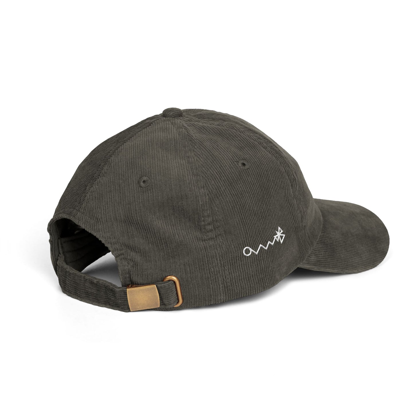 Corduroy Cat Hat